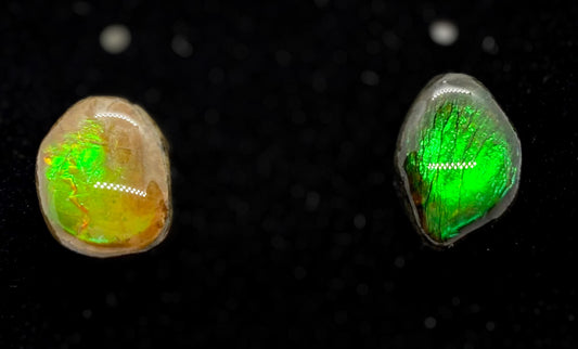 Ammolite Earrings 021