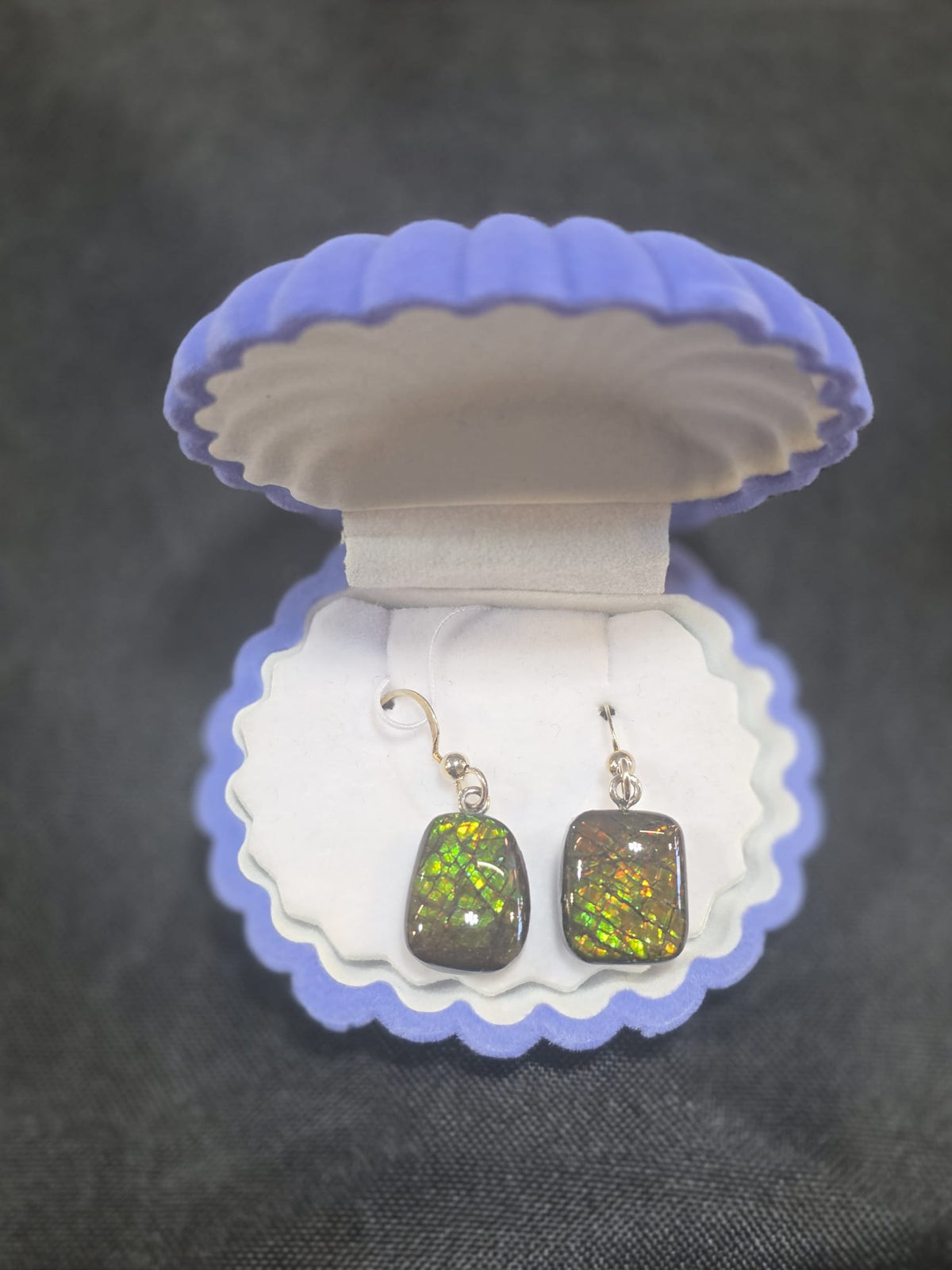 Ammolite Dangler Earrings 25-018