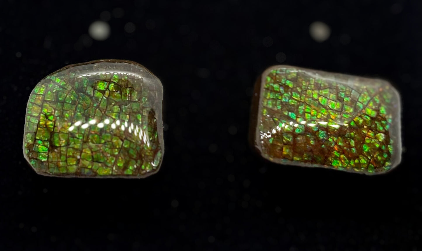 Ammolite Earrings 025
