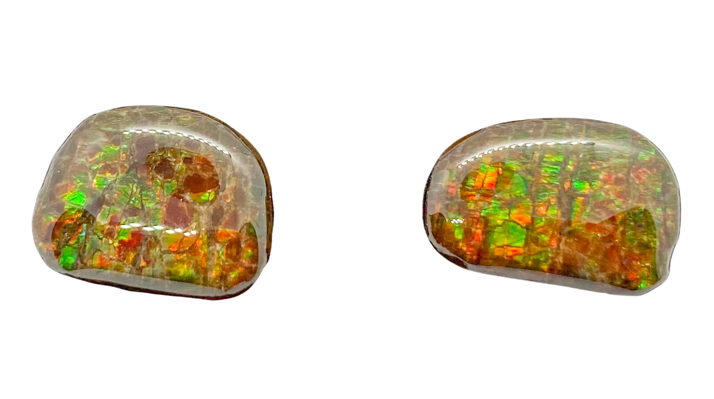 Ammolite Earrings 023