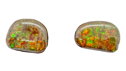 Ammolite Earrings 023