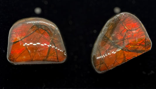 Ammolite Earrings 026