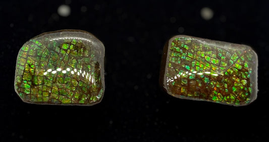 Ammolite Earrings 025
