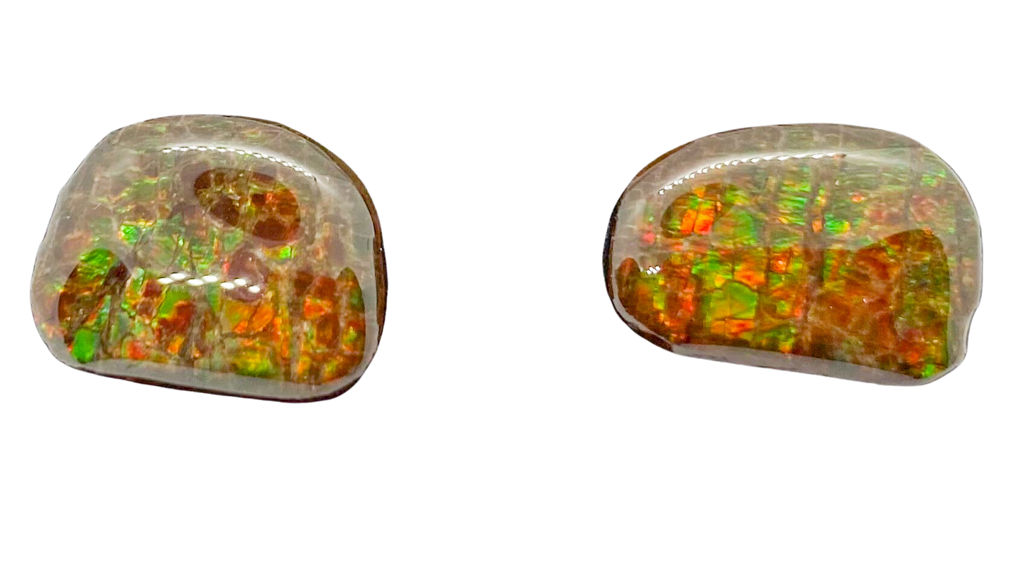 Ammolite Earrings 023