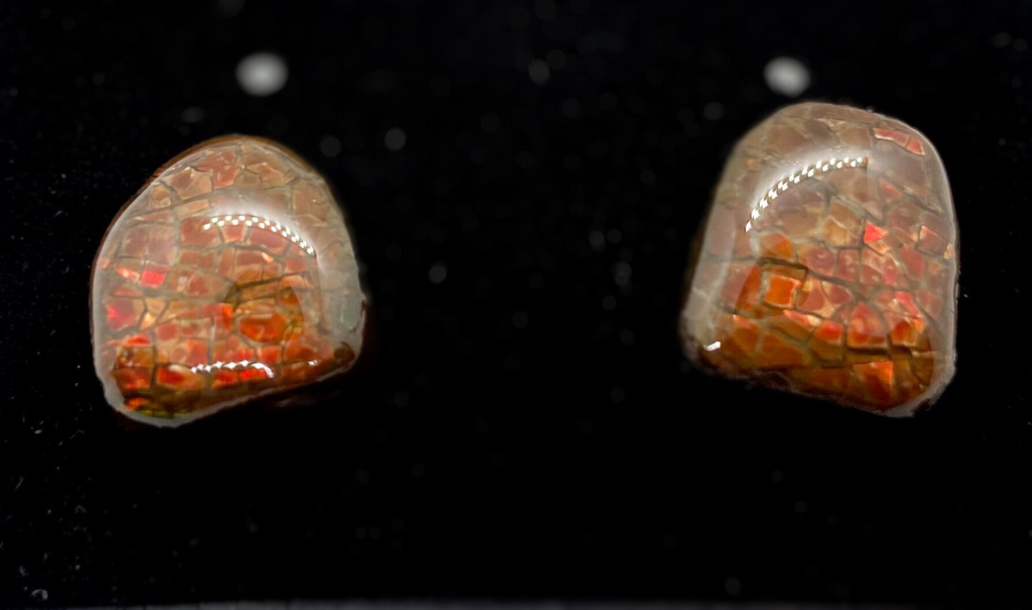 Ammolite Earrings 022