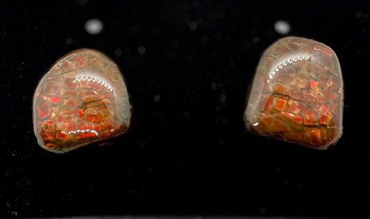 Ammolite Earrings 022