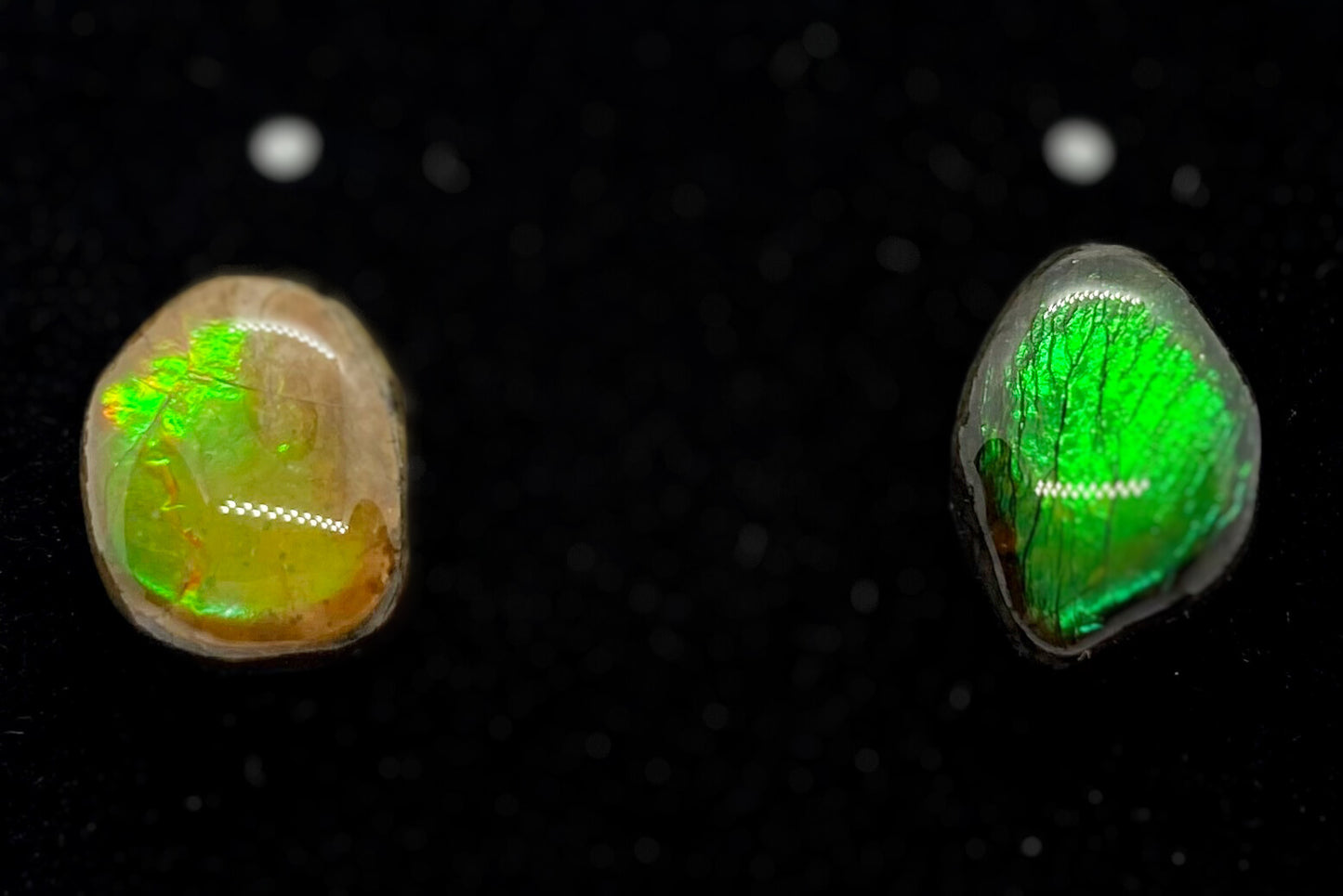 Ammolite Earrings 021