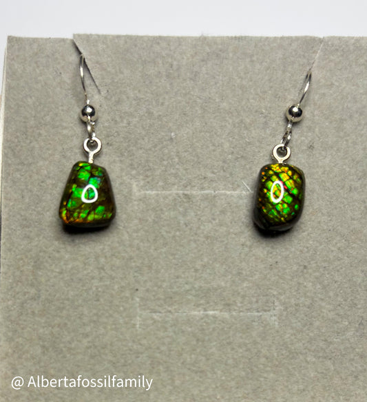 Ammolite Dangler Earrings25-002