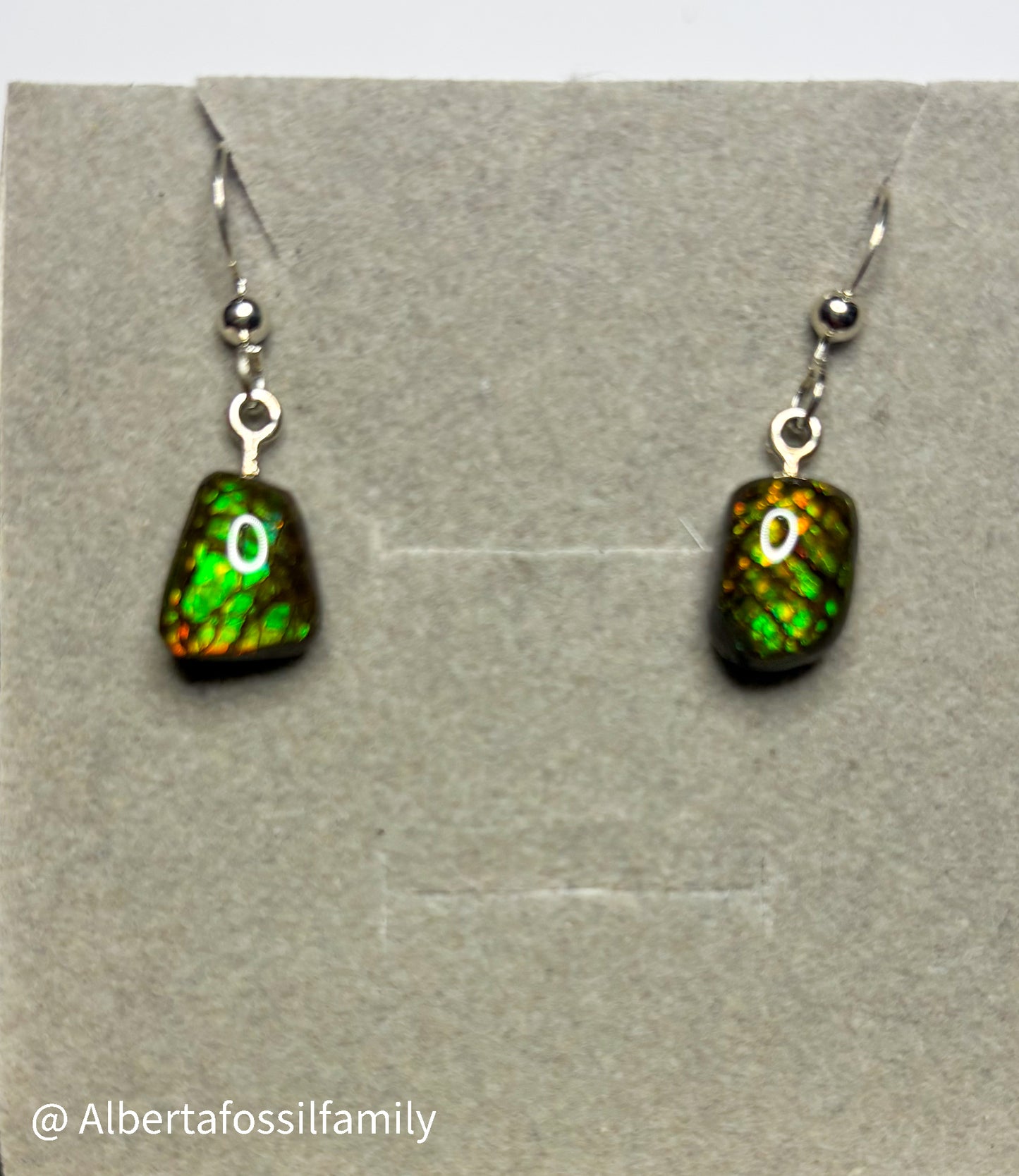 Ammolite Dangler Earrings25-002