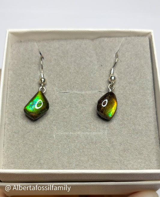 Ammolite Dangler Earrings25-001