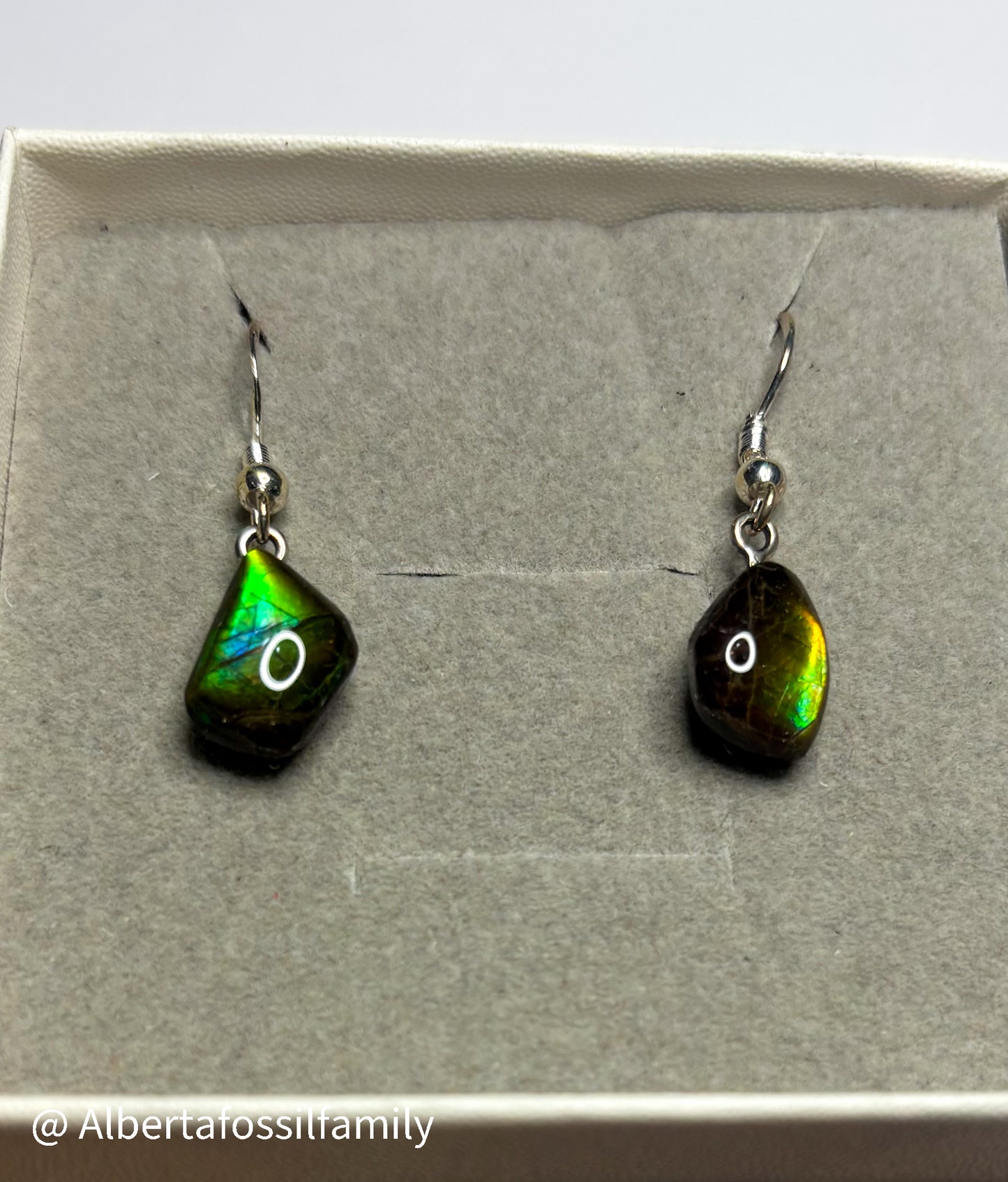 Ammolite Dangler Earrings25-001