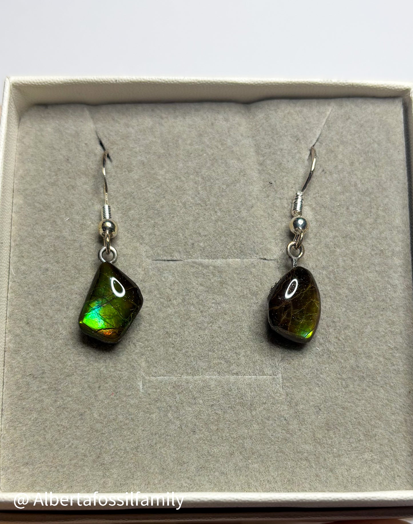 Ammolite Dangler Earrings25-001