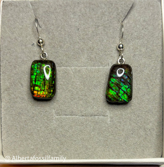 Ammolite Dangler Earrings25-003