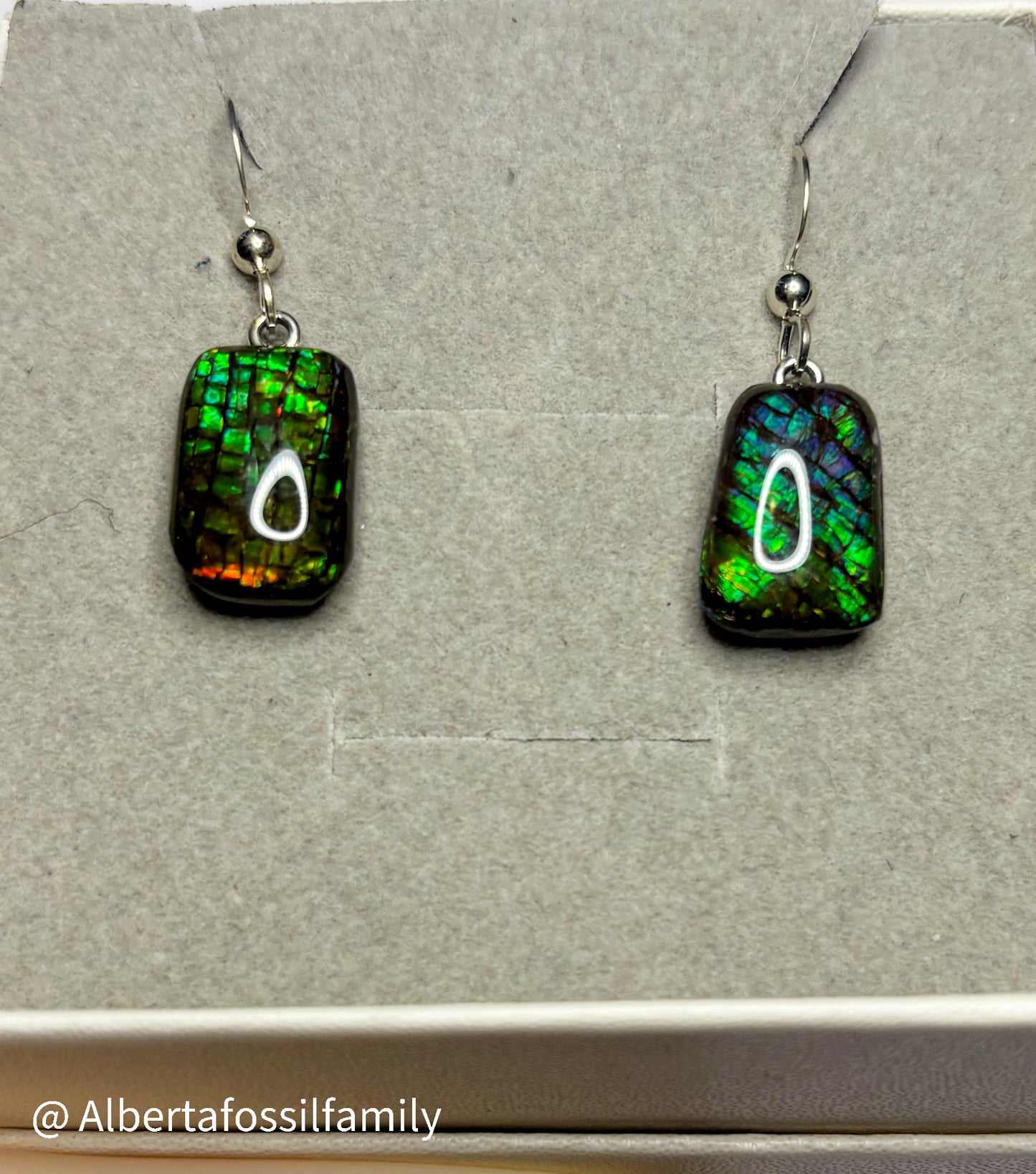 Ammolite Dangler Earrings25-003