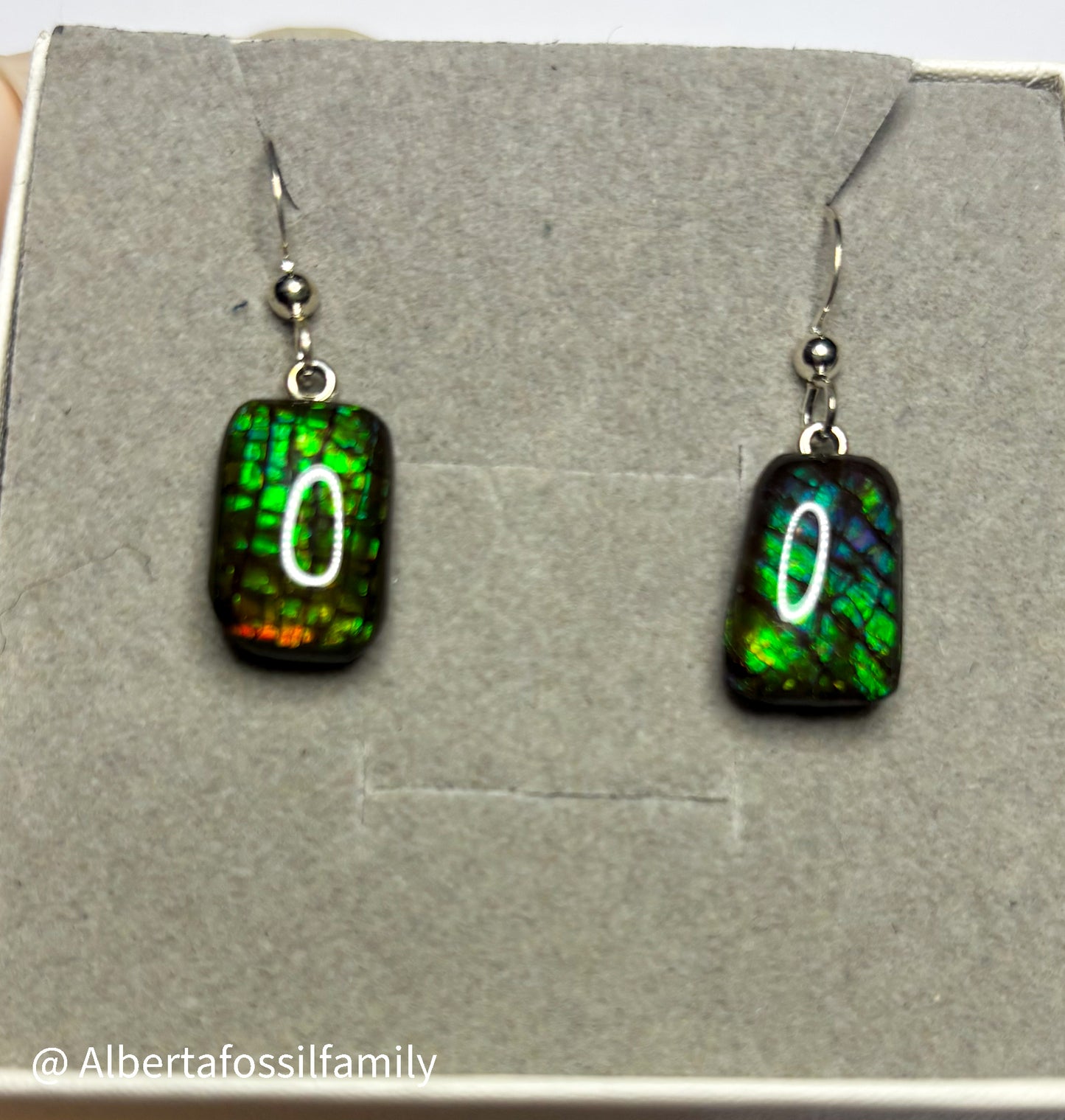 Ammolite Dangler Earrings25-003