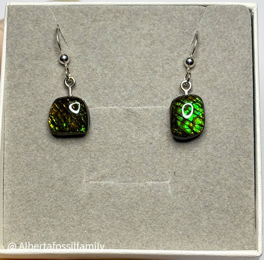 Ammolite Dangler Earrings25-004