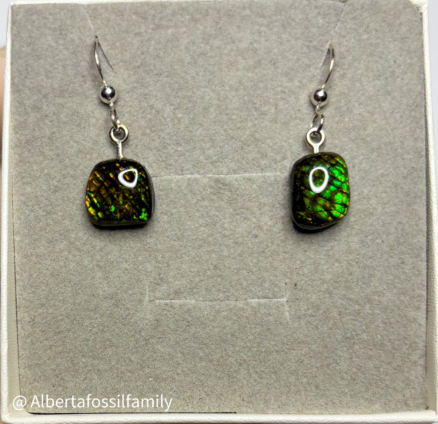 Ammolite Dangler Earrings25-004