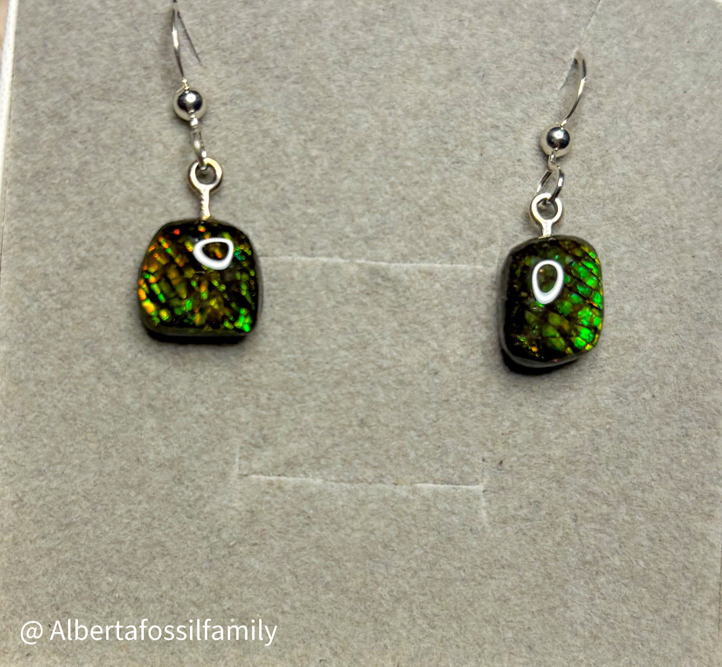 Ammolite Dangler Earrings25-004