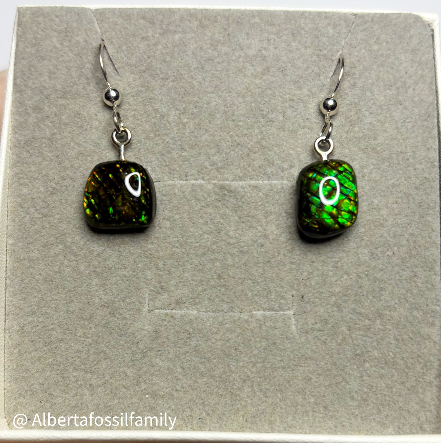 Ammolite Dangler Earrings25-004