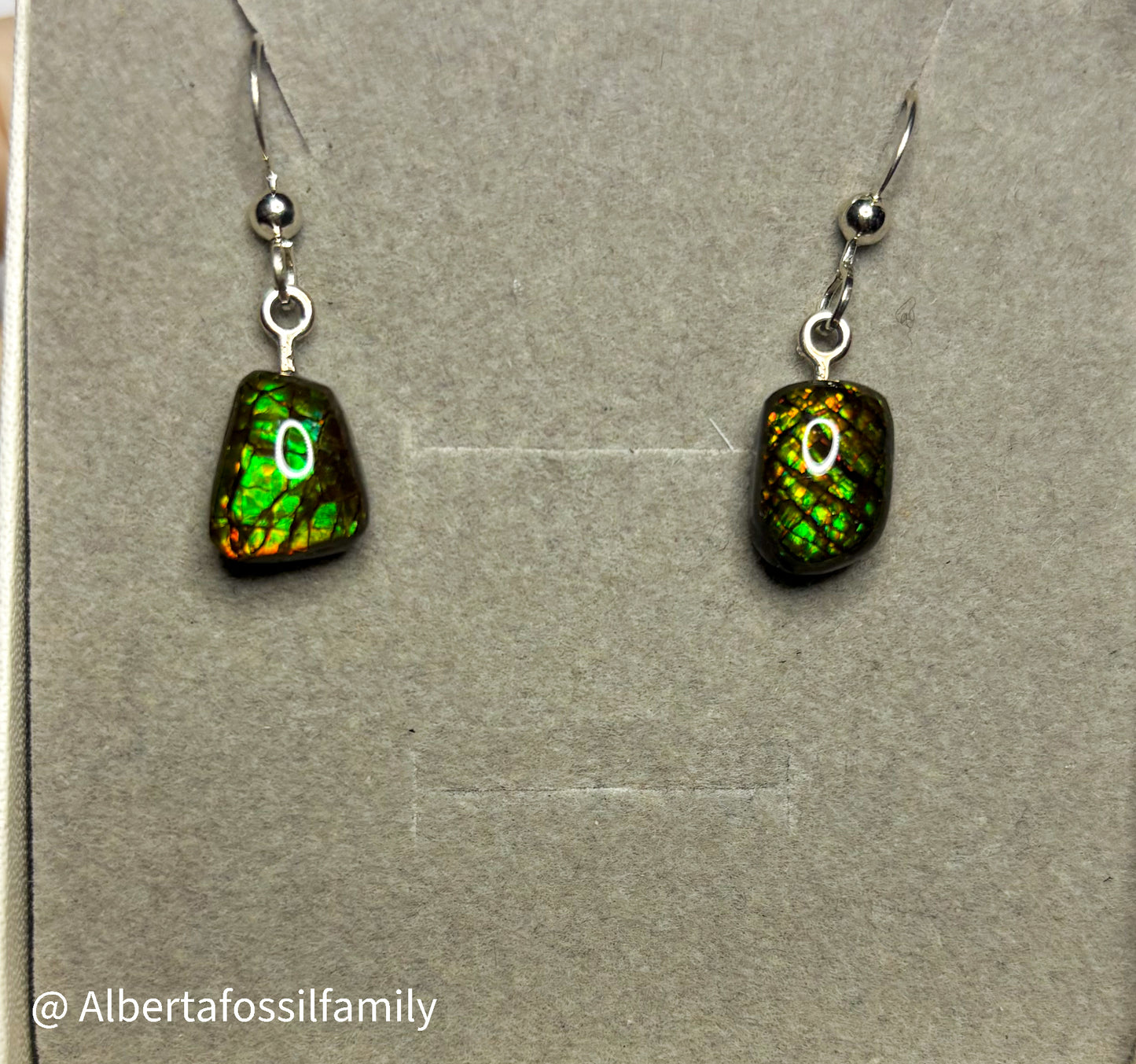 Ammolite Dangler Earrings25-002