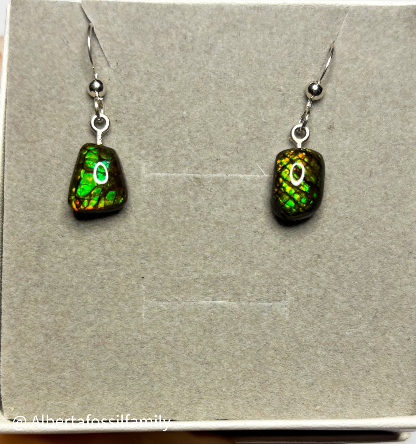 Ammolite Dangler Earrings25-002