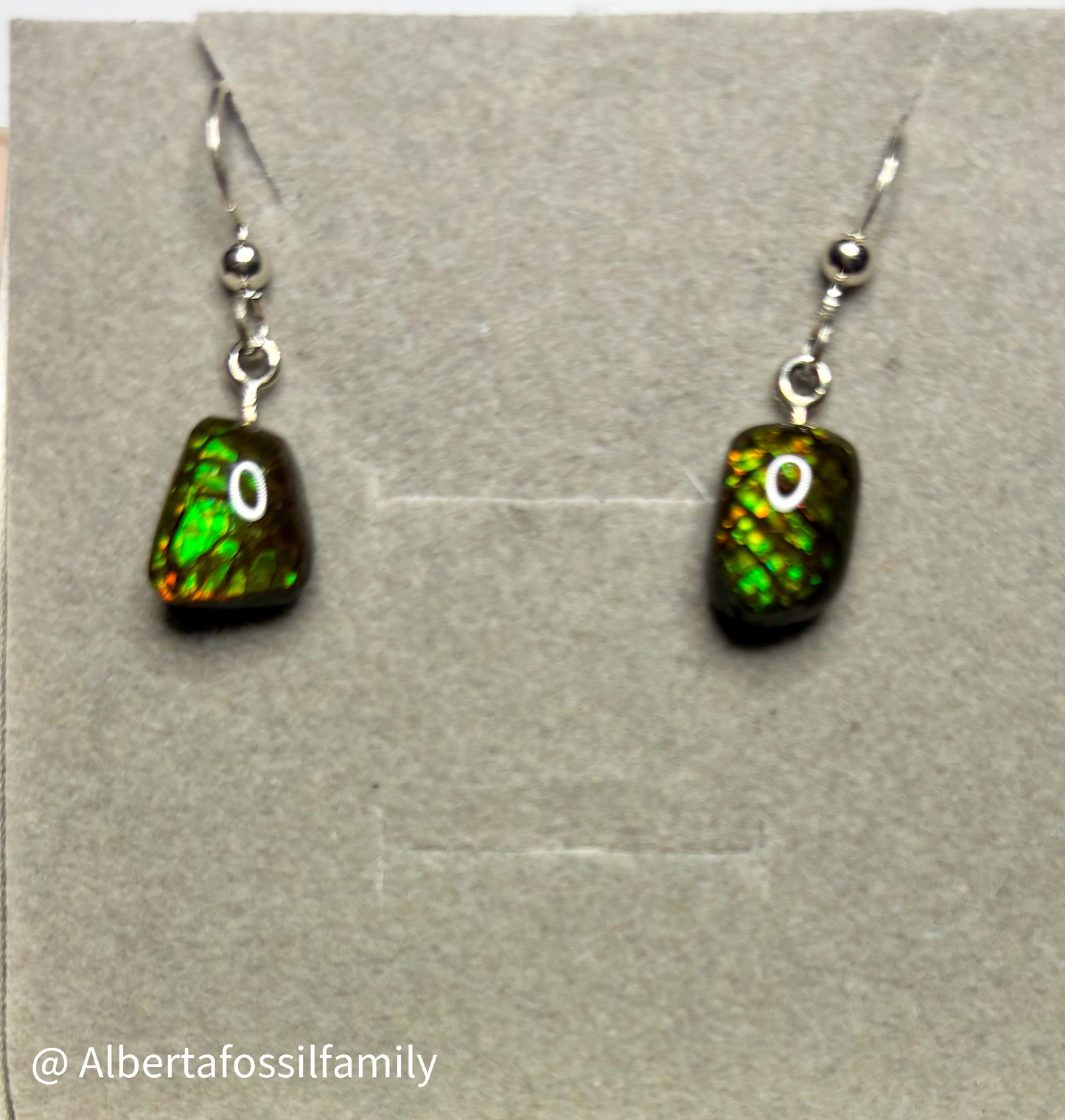 Ammolite Dangler Earrings25-002