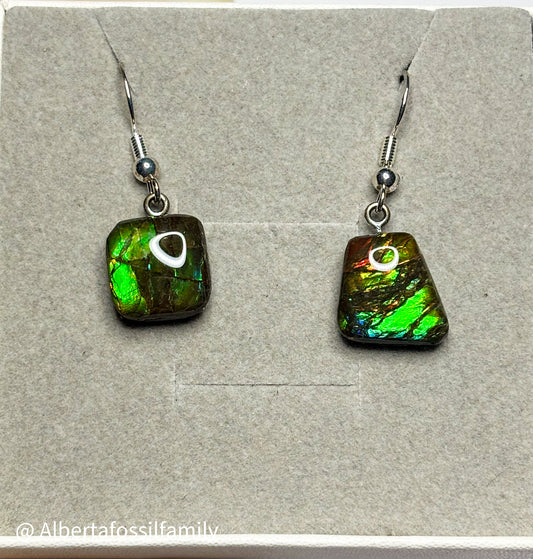 Ammolite Dangler Earrings25-005