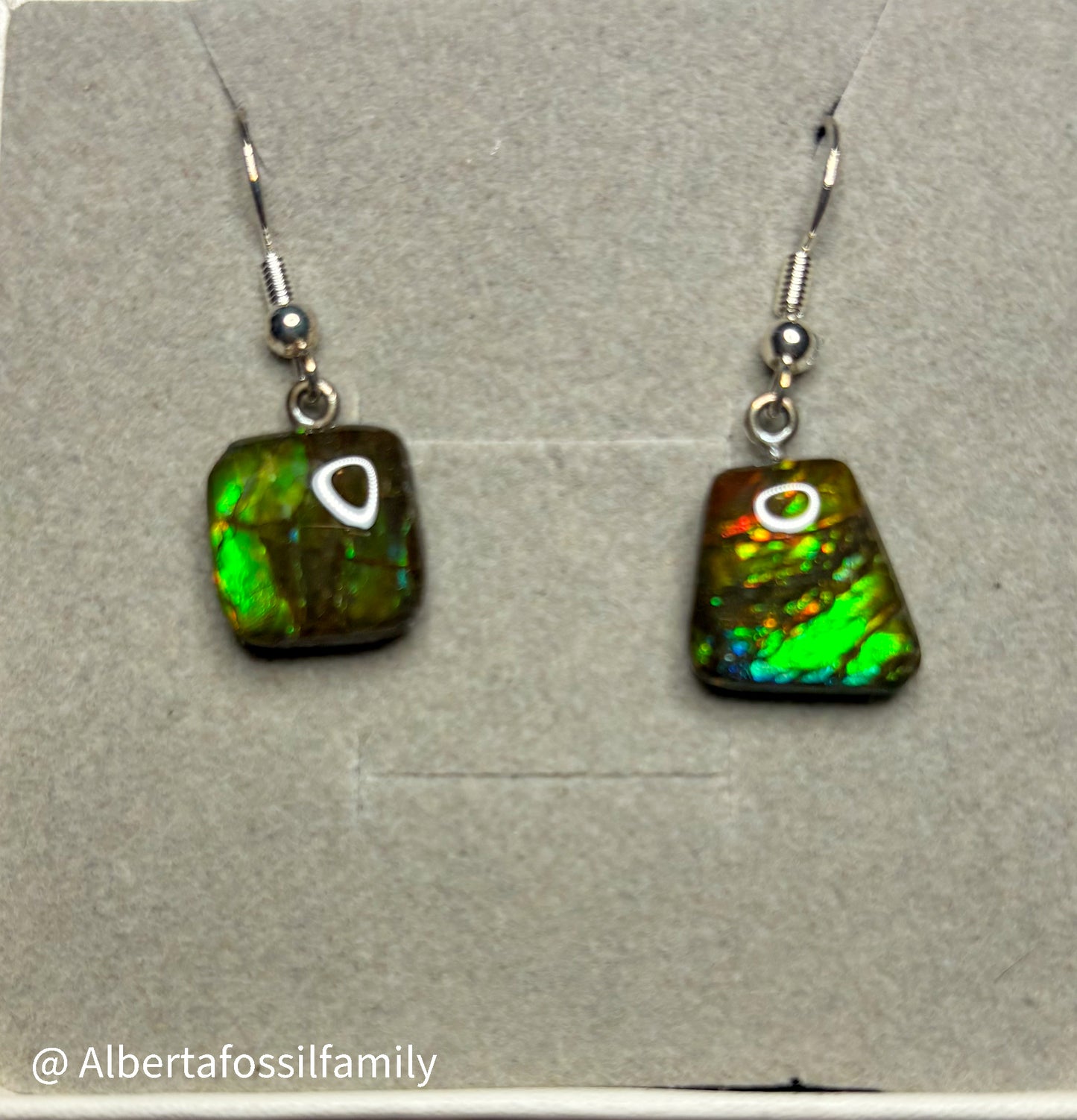 Ammolite Dangler Earrings25-005