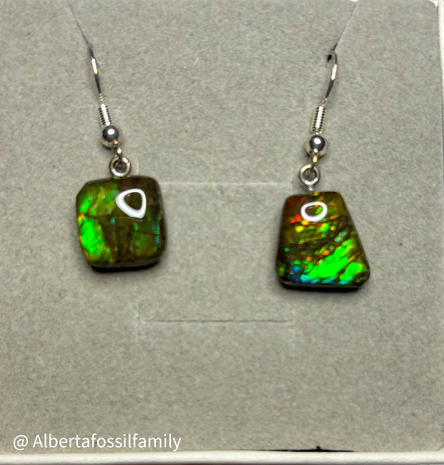 Ammolite Dangler Earrings25-005