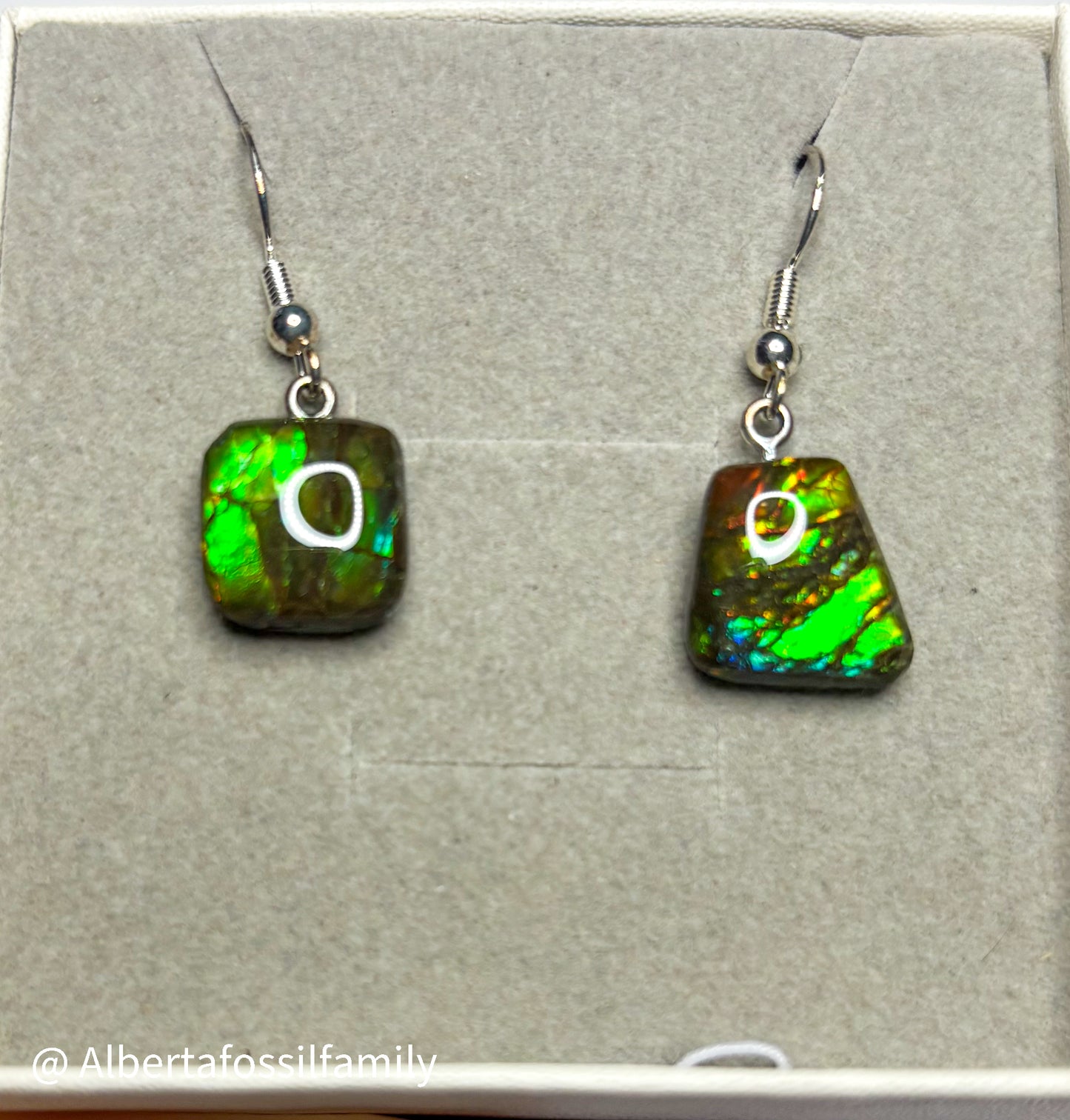Ammolite Dangler Earrings25-005
