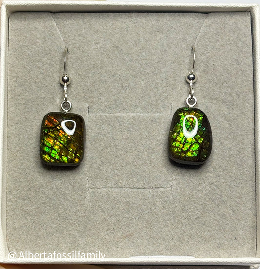 Ammolite Dangler Earrings25-006