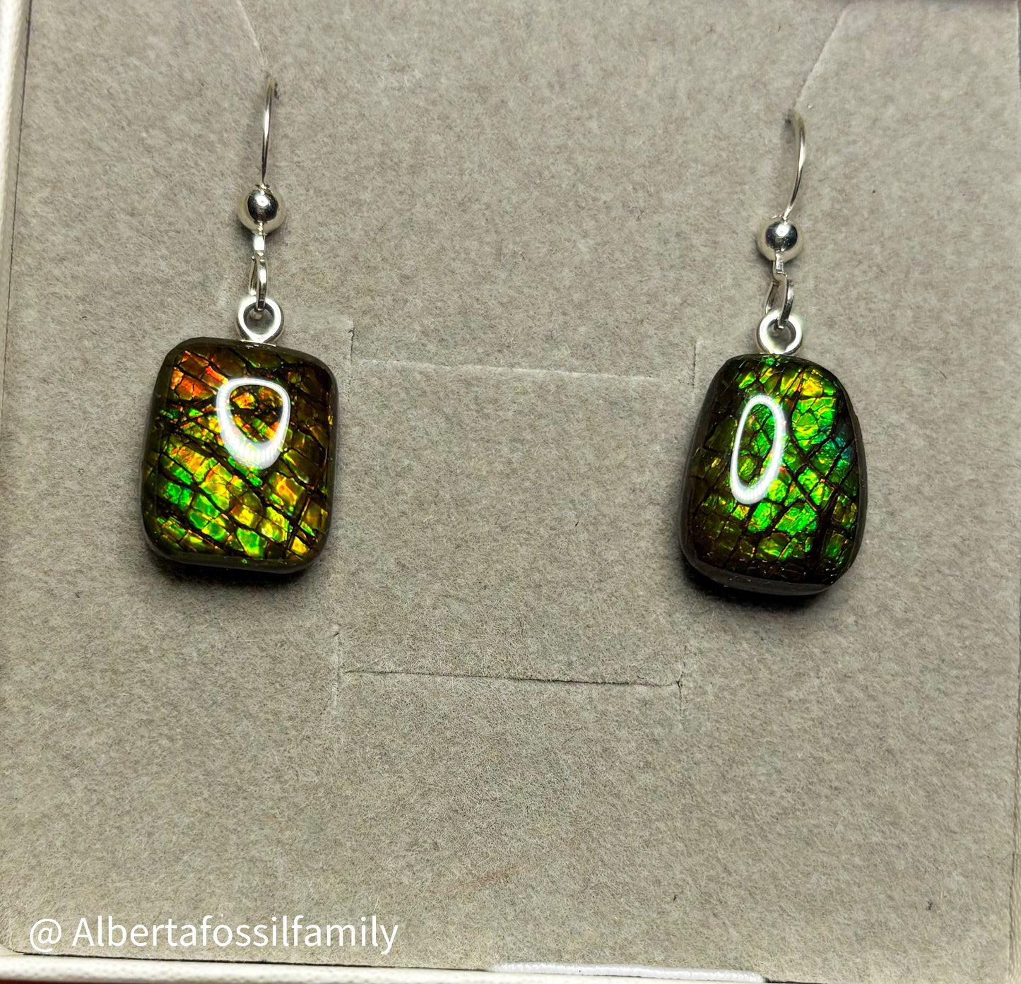 Ammolite Dangler Earrings25-006