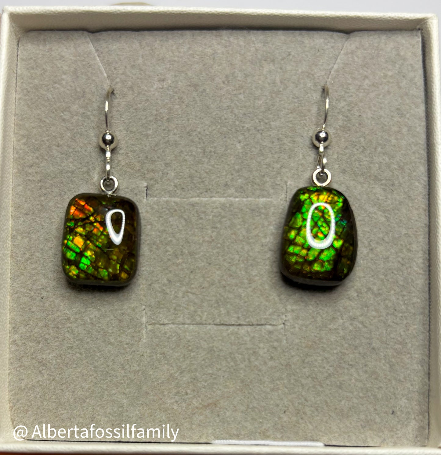 Ammolite Dangler Earrings25-006