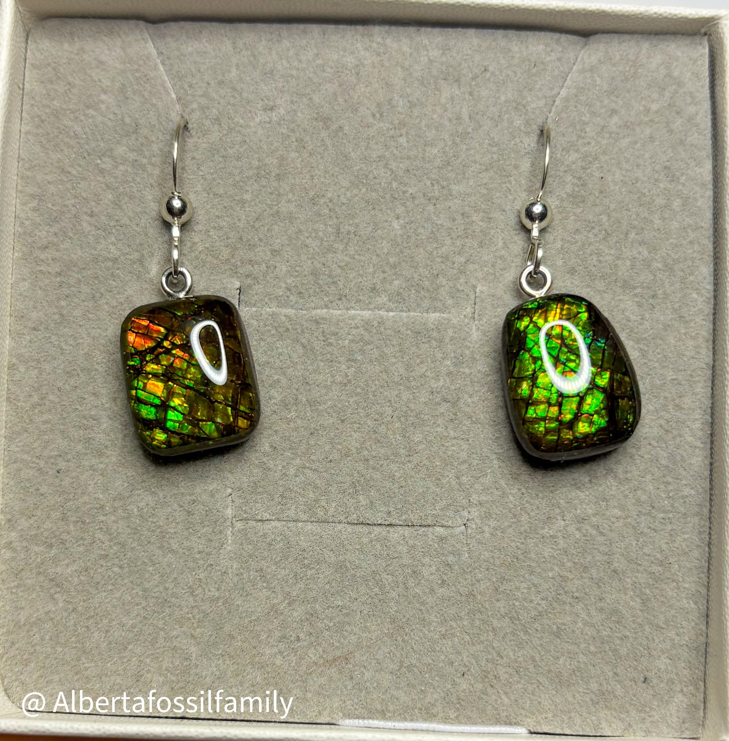 Ammolite Dangler Earrings25-006