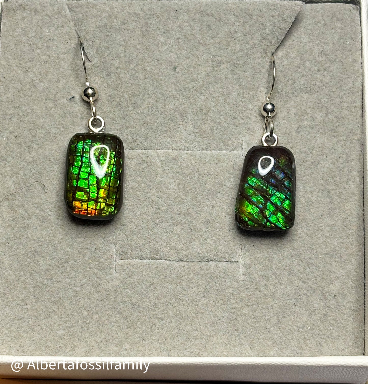 Ammolite Dangler Earrings25-003