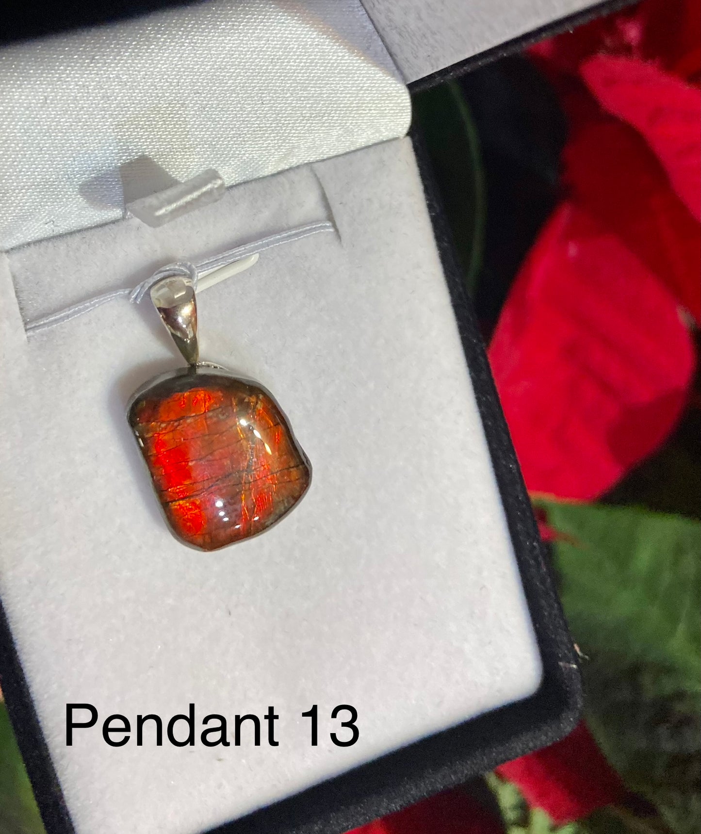 Free Form Pendant 24-13