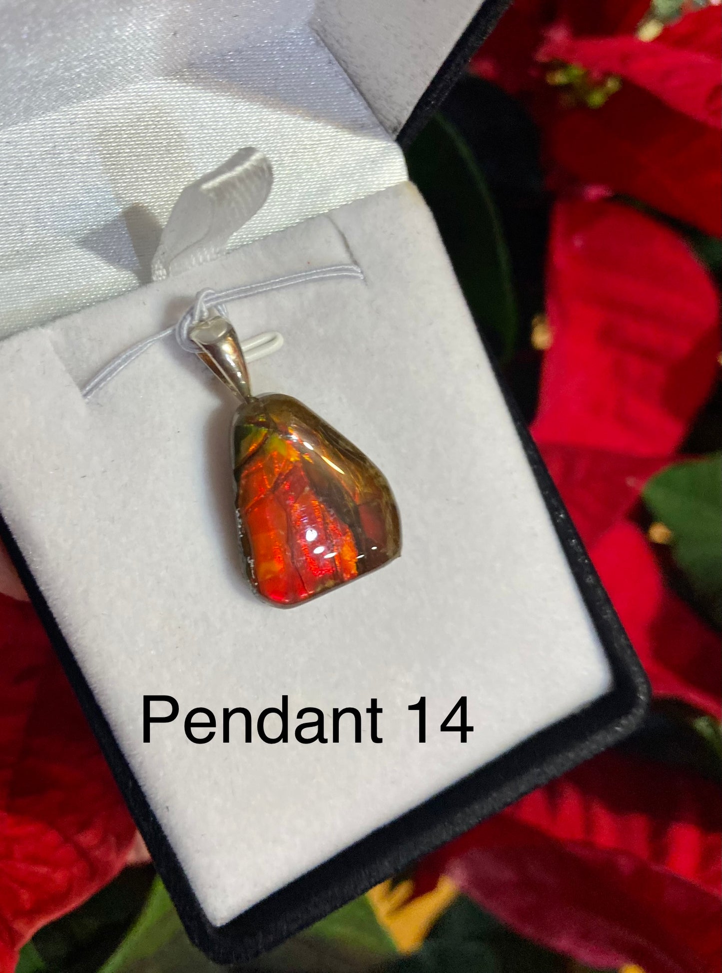 Free Form Pendant 24-14
