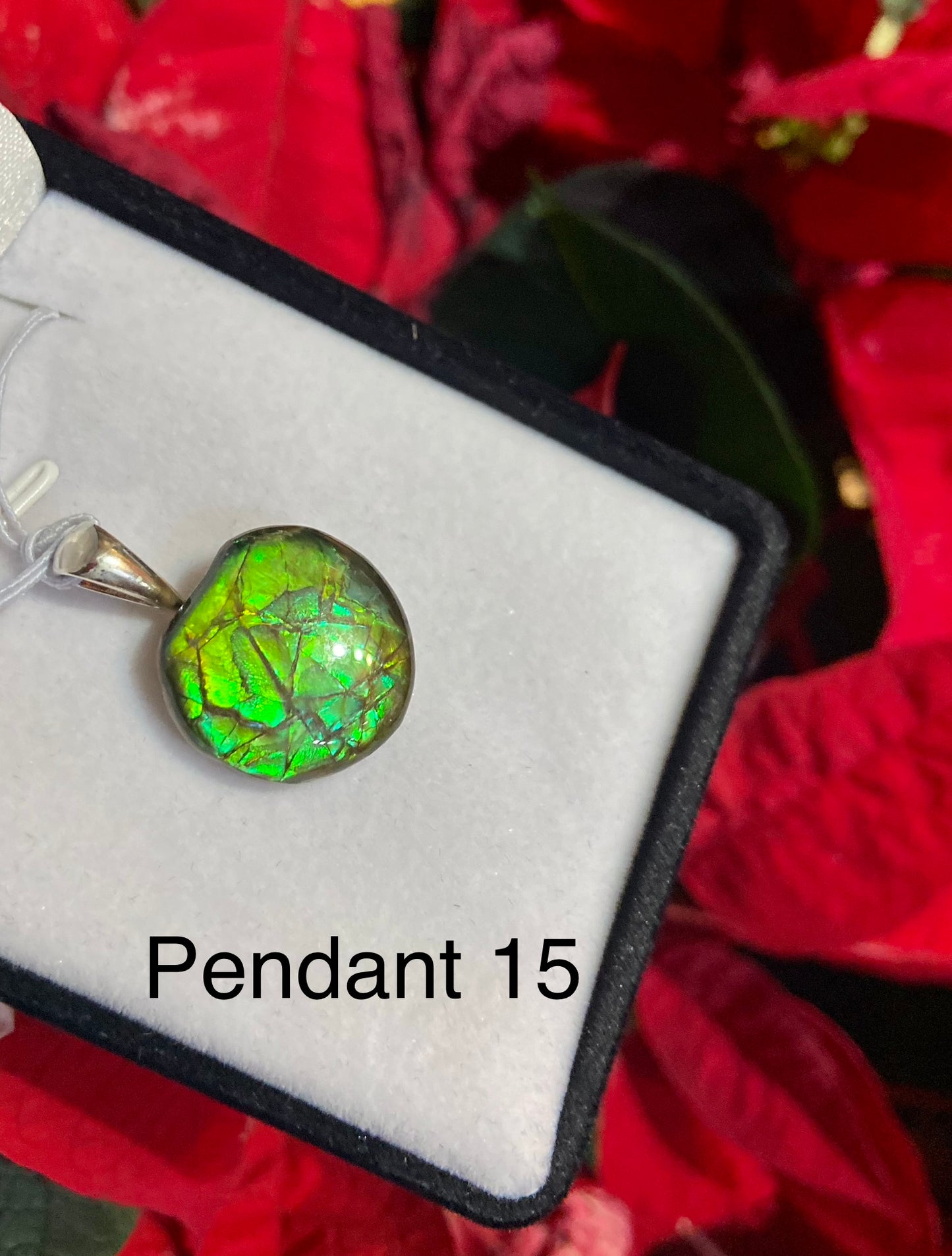 Free Form Pendant 24-15