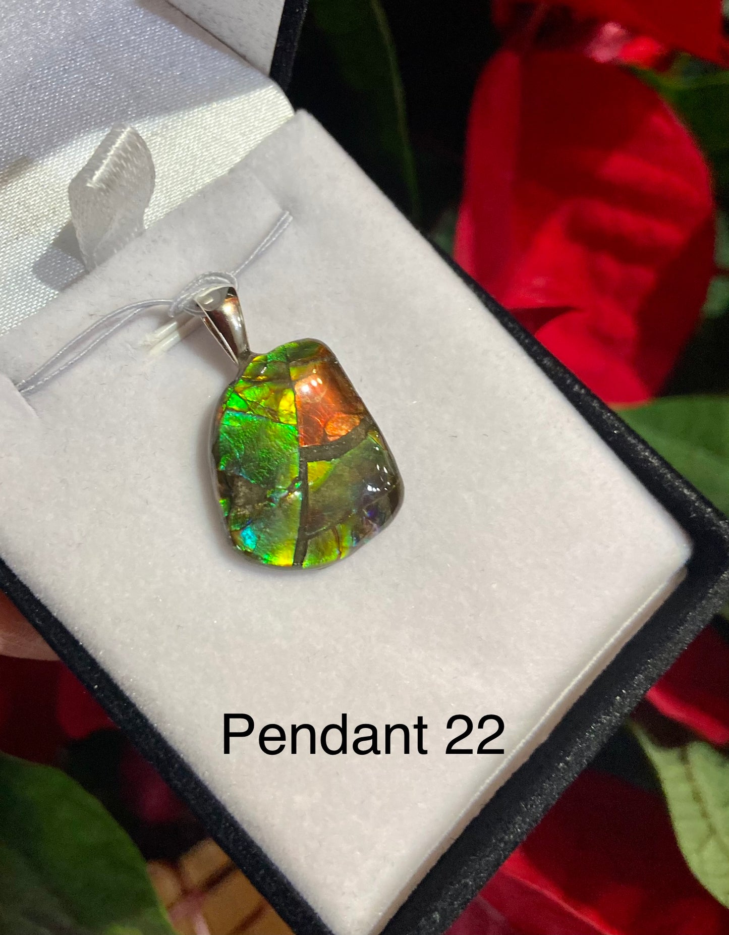 Free Form Pendant 24-22