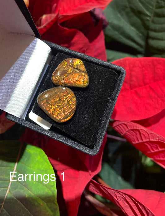 Ammolite Earrings 001
