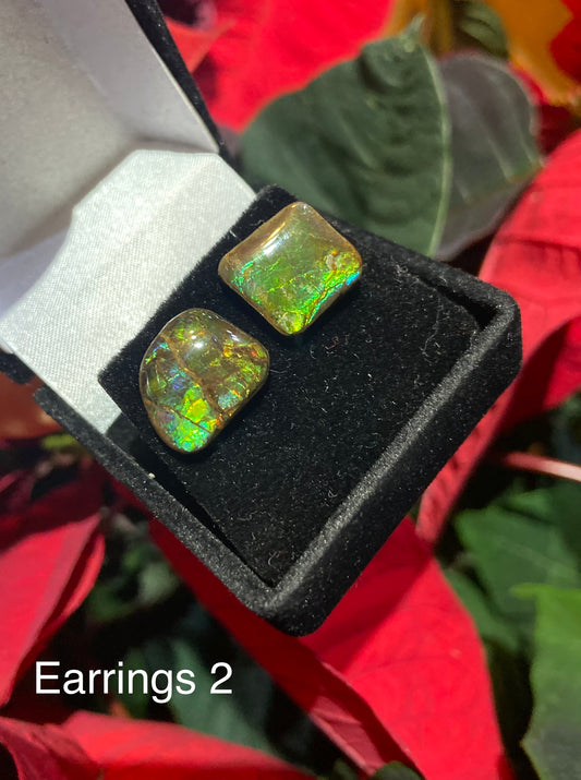 Ammolite Earrings 002