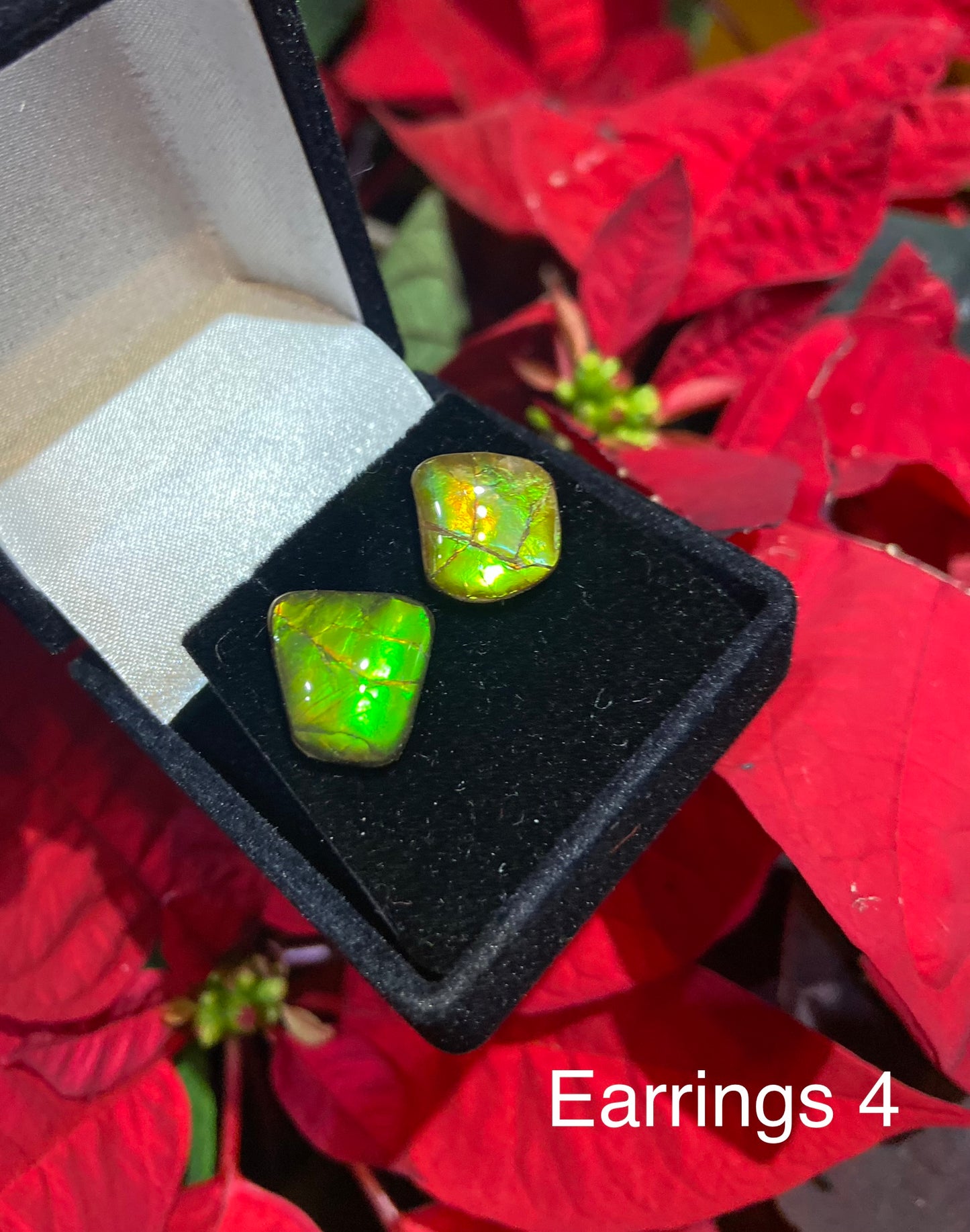 Ammolite Earrings 004