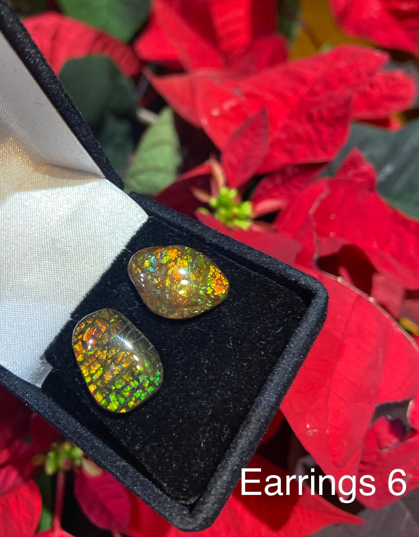 Ammolite Earrings 006