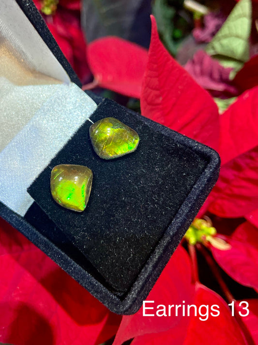 Ammolite Earrings 013