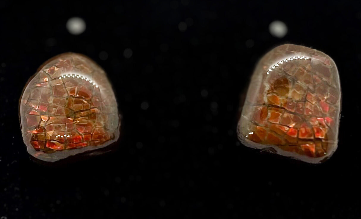 Ammolite Earrings 022