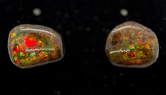 Ammolite Earrings 024