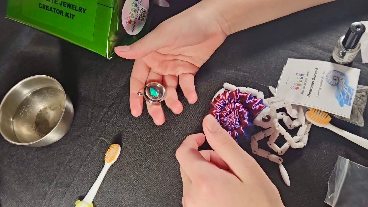 Ammolite Jewelry Creator Kit