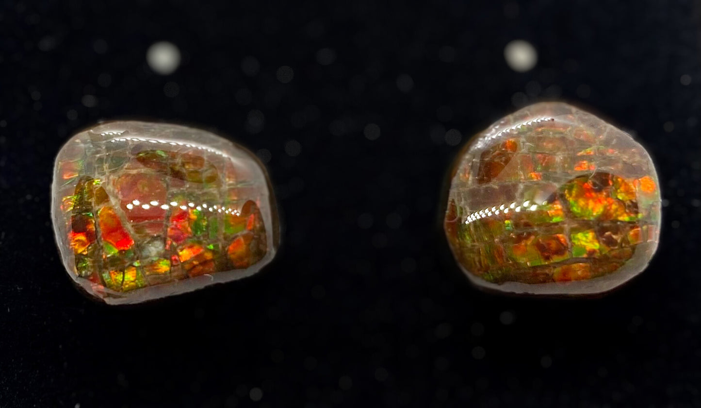 Ammolite Earrings 024