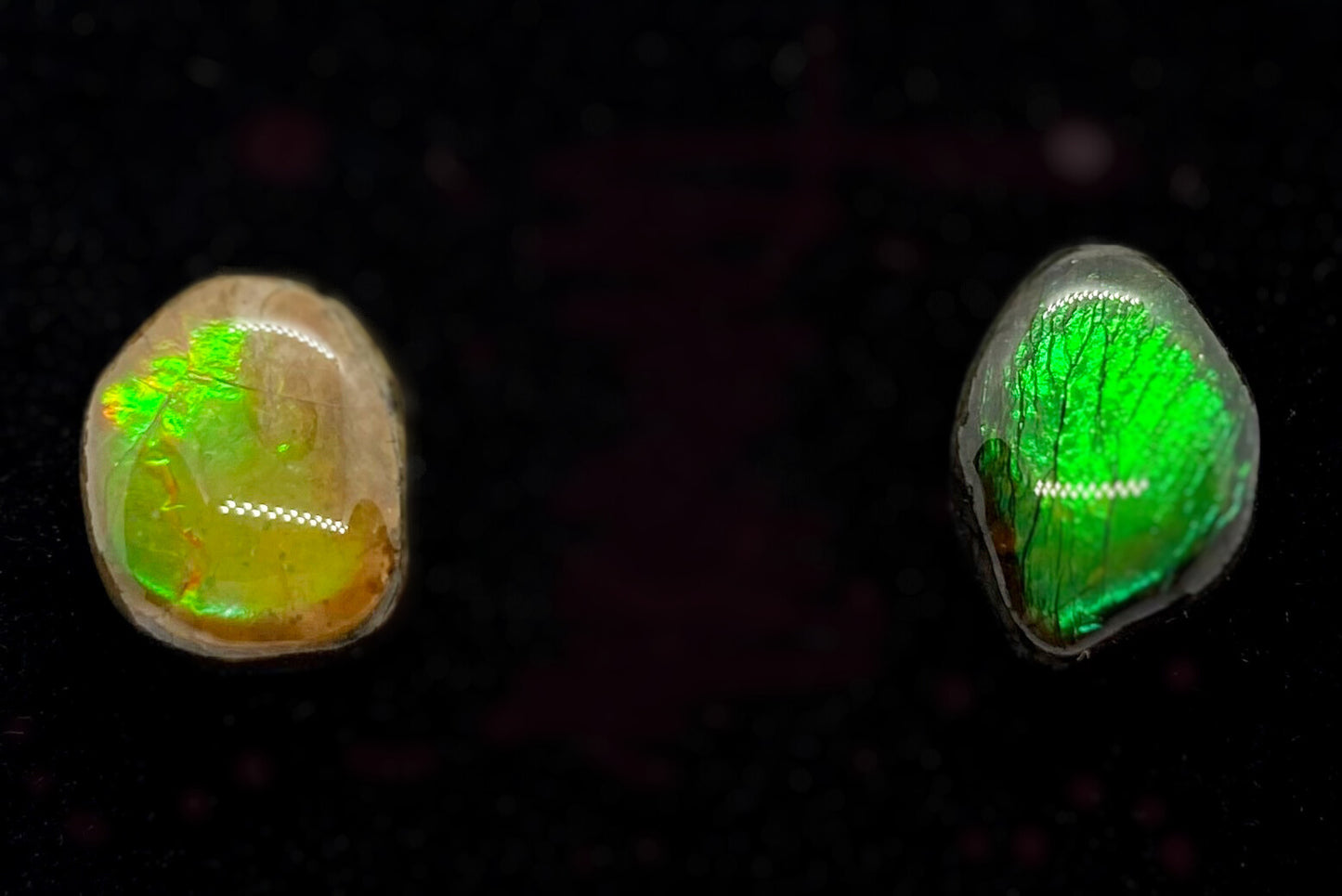 Ammolite Earrings 021