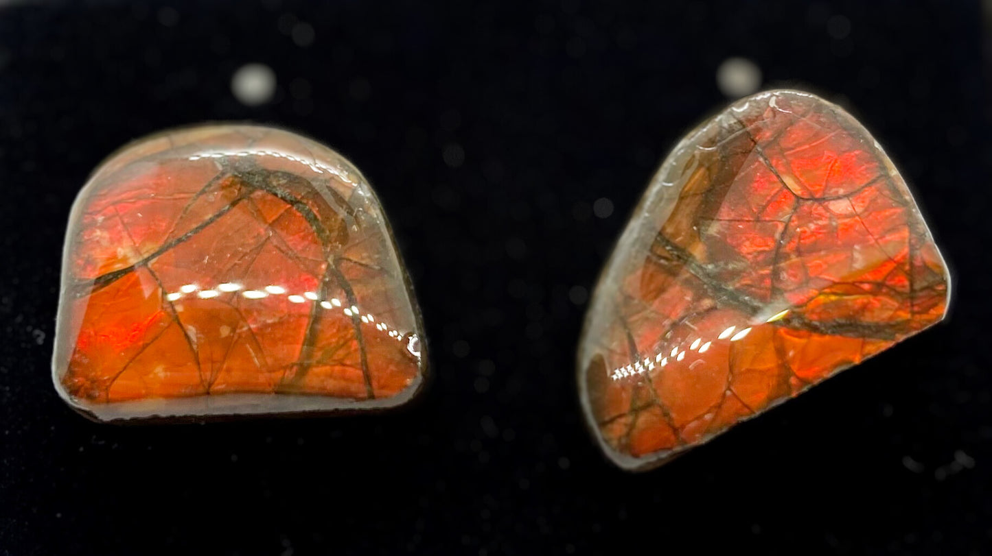 Ammolite Earrings 026